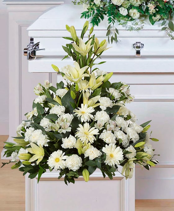 Centro funerario blanco al tanatorio
