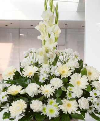 centro funerario blanco Centro Funerario Urgente